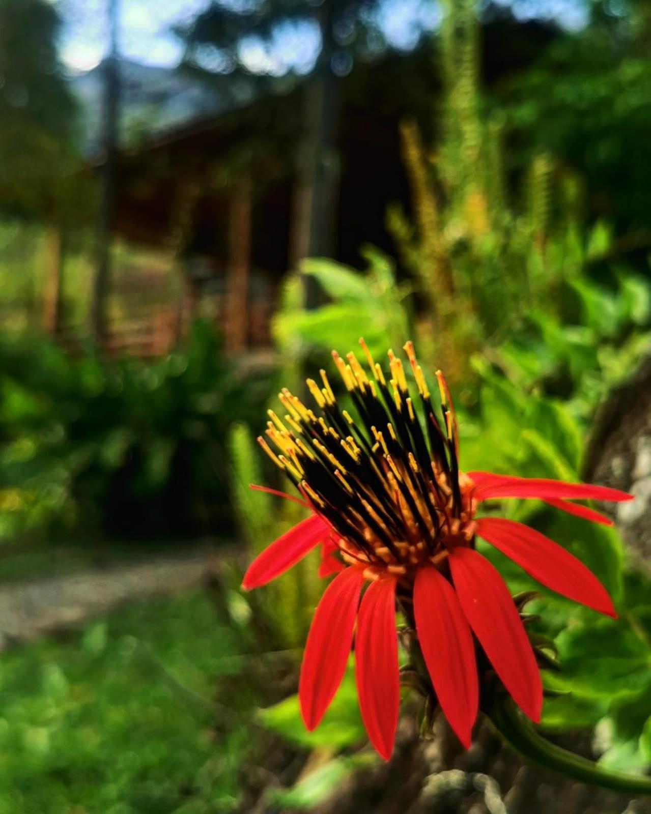 Goctamarca Lodge Cocachimba 외부 사진